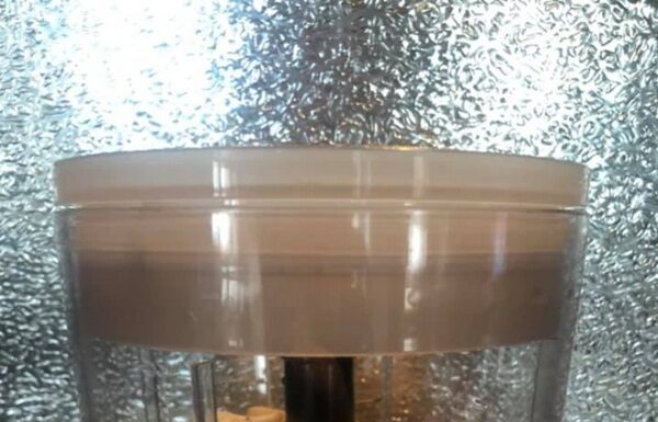 The Ultimate Guide to Storing Peeled Garlic: Keep it Fresh and Flavorful All Year Long