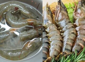 The Perfect Boiled Shrimp: A Delicate, Sweet, and Savory Delight