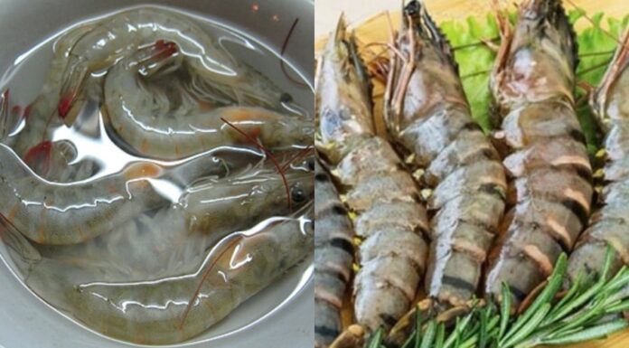 The Perfect Boiled Shrimp: A Delicate, Sweet, and Savory Delight