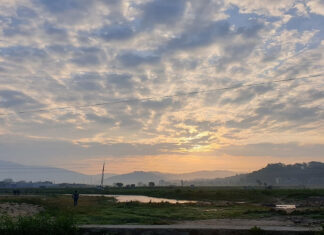 The Ultimate Guide to Morning Greetings: 100+ Heartwarming Wishes for Everyone