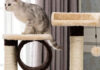 The Ultimate Guide to Cat Condos: 10 Purr-fect Picks for 2021.