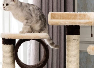 The Ultimate Guide to Cat Condos: 10 Purr-fect Picks for 2021.