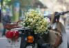 The Chills of Hanoi’s Winter: 20+ Romantic Poems to Warm Your Heart