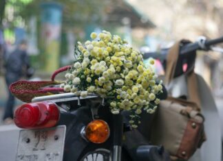 The Chills of Hanoi’s Winter: 20+ Romantic Poems to Warm Your Heart