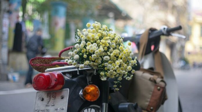 The Chills of Hanoi’s Winter: 20+ Romantic Poems to Warm Your Heart