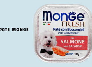 The Ultimate Guide to Indulging Your Dog: 4 Delicious and Nutritious Pate Recipes