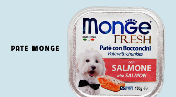 The Ultimate Guide to Indulging Your Dog: 4 Delicious and Nutritious Pate Recipes