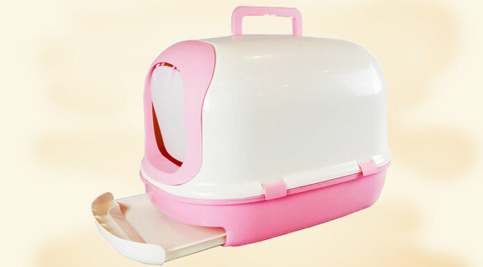 Reviewing 12 Cat Toilets: Weighing Up the Pros and Cons