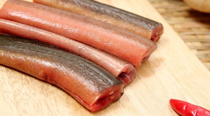 A Tasty and Nutritious Adventure: Exploring Baby Food Purees with Eel