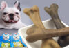 The Ultimate Guide to the Top 11 Calcium-Rich Dog Chews for Healthy Teeth
