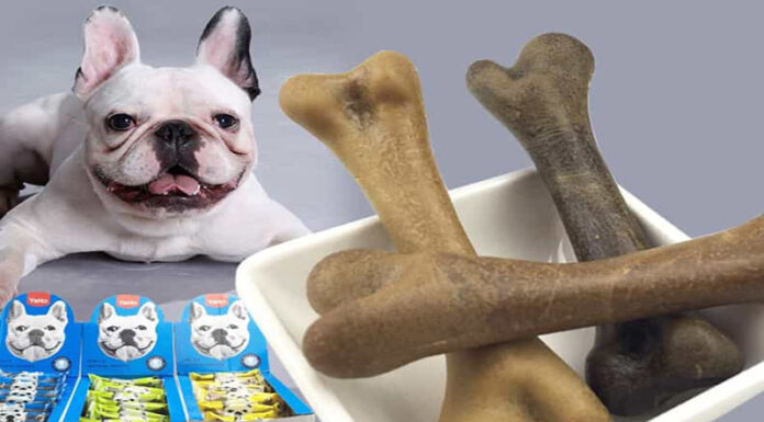 The Ultimate Guide to the Top 11 Calcium-Rich Dog Chews for Healthy Teeth