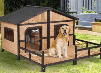 The Ultimate Guide to the Top 8 Best Dog Houses and Crates: Unveiling Style and Comfort for Your Furry Friends