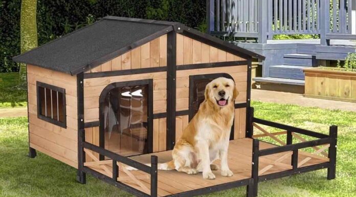 The Ultimate Guide to the Top 8 Best Dog Houses and Crates: Unveiling Style and Comfort for Your Furry Friends