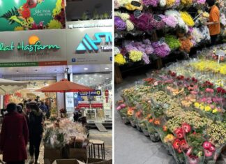 The Best 9: Fresh Flower Shops in Da Nang