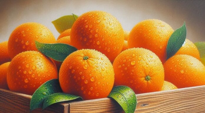 9 Fruits Rich in Calcium, a Bone-Strengthening Alternative to Bone Broth