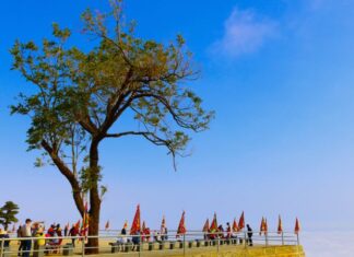 The Ultimate Travel Guide to Phuoc Long, Binh Phuoc: 5 Must-Visit Destinations