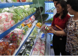 Maximizing Nutrition: Minimizing Food Wastage