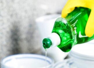 The Secret to a Mosquito-Free Home: A Bowl of Water?