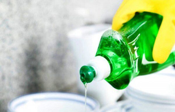 The Secret to a Mosquito-Free Home: A Bowl of Water?