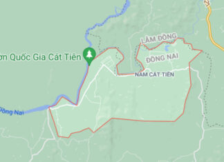 The Ultimate Guide to Cat Tien National Park: An Unforgettable Journey