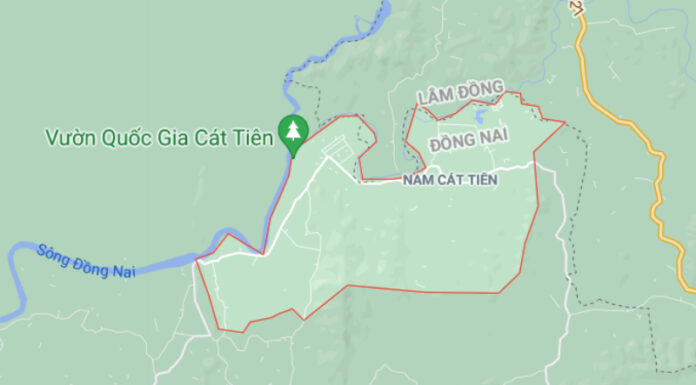The Ultimate Guide to Cat Tien National Park: An Unforgettable Journey