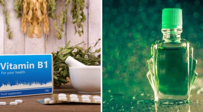 The Ultimate Summer Solution: Vitamin B1 and Eucalyptus Oil for Powerful Mosquito Repellent