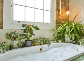 3 Places in Your Home Where Flowers Won’t Bloom: A Guide to Avoiding the Unsuitable Spots.