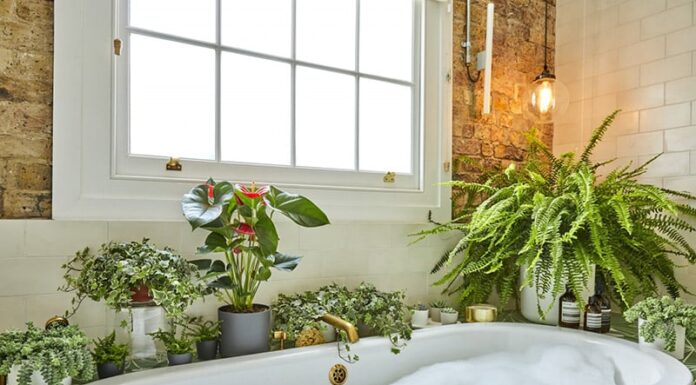 3 Places in Your Home Where Flowers Won’t Bloom: A Guide to Avoiding the Unsuitable Spots.