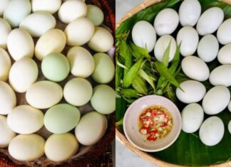 “The Ultimate Guide to Selecting the Perfect Balut: How to Choose the Tastiest, Most Nutritious, and Freshest Egg”
