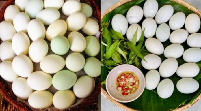 “The Ultimate Guide to Selecting the Perfect Balut: How to Choose the Tastiest, Most Nutritious, and Freshest Egg”