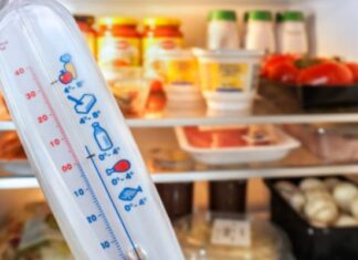What is the Most Energy-Efficient Setting for Your Refrigerator During Summer?
