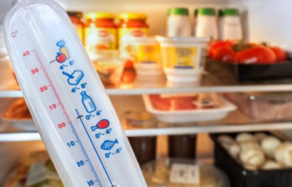What is the Most Energy-Efficient Setting for Your Refrigerator During Summer?