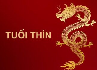 The Power of Three: Unveiling the Heavenly Fortune of the Meek