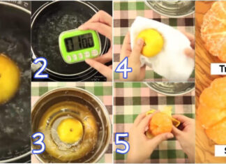 The Ultimate Hack to Peel an Orange Like a Pro