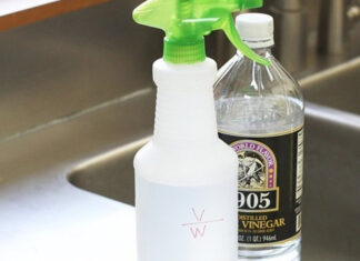 The Magic of Sparkling Windows: A Homemade Glass Cleaner Recipe