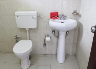 The Ultimate Guide to Toilet Cleaning: A Scientific Approach