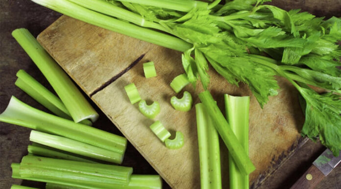 Why Opt for Celery Powder Over Fresh Celery?