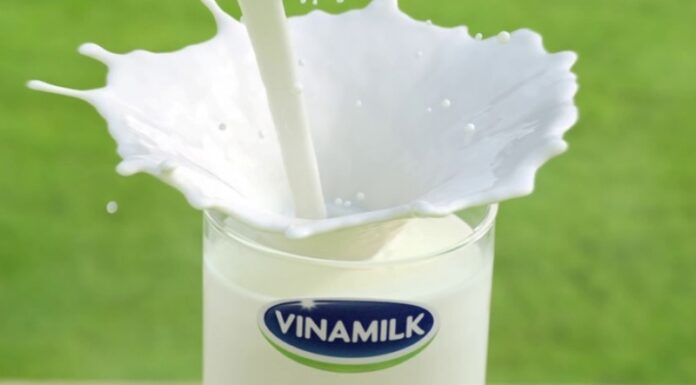 Which Milk Reigns Supreme: Vinamilk or TH True Milk?
