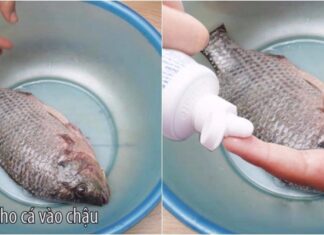 The Secret to Delicious, Non-Fishy Flavour