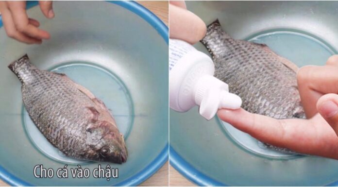 The Secret to Delicious, Non-Fishy Flavour