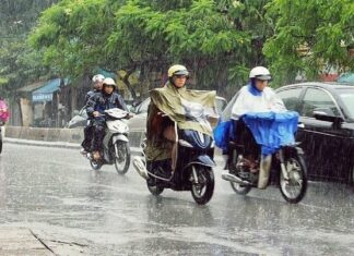 The Art of Motorcycle Braking: Mastering the Skill to Avoid Slips in the Rain