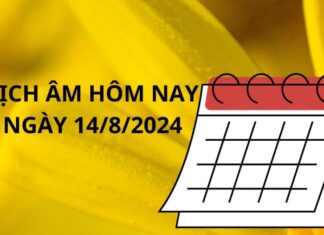 The Ultimate Guide to Optimizing Your Daily Tasks: What to Do and What to Avoid on August 14th