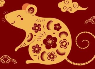 Unveiling 2022: Predictions and Forecasts for the 12 Zodiac Animals