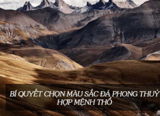 The Power of Earth: Choosing the Right Feng Shui Stones for Your Destiny