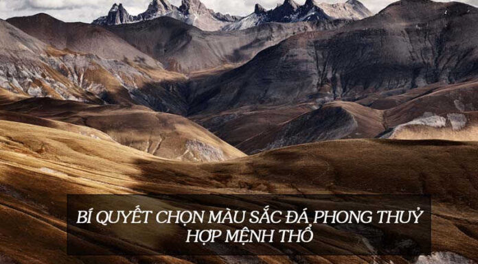 The Power of Earth: Choosing the Right Feng Shui Stones for Your Destiny