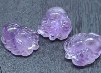 The Power of Feng Shui Spiders: Unraveling the Symbolism and Practical Applications