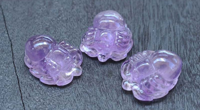 The Power of Feng Shui Spiders: Unraveling the Symbolism and Practical Applications