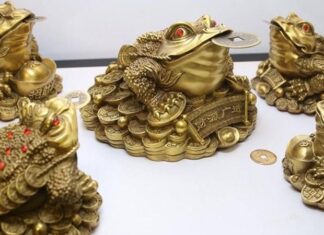 The Power of Feng Shui Toads: Attracting Wealth and Prosperity into Your Home