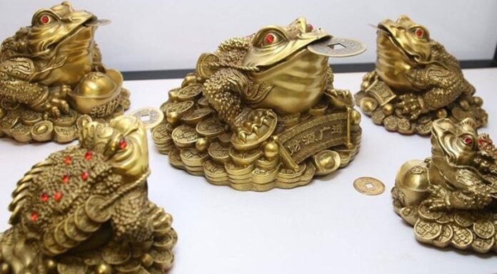 The Power of Feng Shui Toads: Attracting Wealth and Prosperity into Your Home