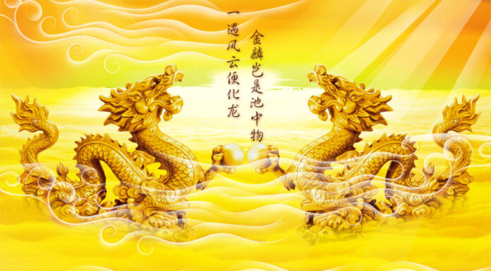 The Power of Feng Shui Dragons: Unlocking Prosperity and Abundance
